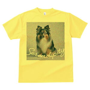 VFbghV[vhbO TVc Y LbY t@  t  vg JWA 킢 lԗp h ̃fUC ʔ Kl VFbghV[vhbO