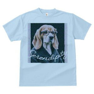 r[O TVc fB[X t@  t  vg JWA 킢 lԗp h ̃fUC ʔ Kl r[O X[c