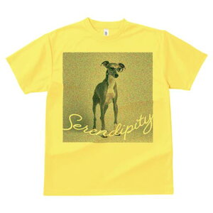 C^AO[nEh TVc Y LbY t@  t  vg JWA 킢 lԗp h ̃fUC ʔ Kl C^AO[nEh