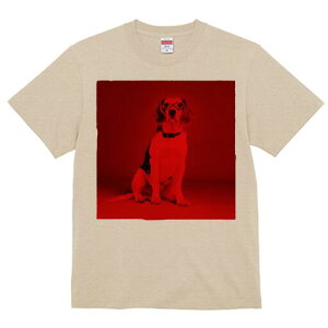 r[O TVc fB[X t@  t  vg JWA 킢 lԗp h ̃fUC ʔ Kl r[O 