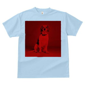 r[O TVc Y LbY t@  t  vg JWA 킢 lԗp h ̃fUC ʔ Kl r[O 