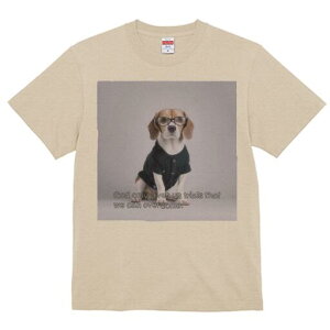 r[O TVc Y LbY t@  t  vg JWA 킢 lԗp h ̃fUC ʔ Kl r[O Vc