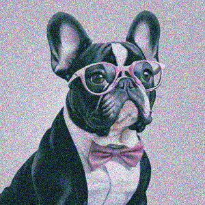 Kl t`uhbO lN^C X[c NbVJo[ 45×45cm Aj}   NbV{̕t ` t@