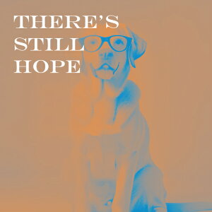 Kl uh[go[ NbVJo[ 45×45cm Aj}   NbV{̕t ` t@