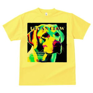 uh[go[ TVc fB[X t@  t  vg JWA 킢 lԗp h ̃fUC ʔ Jt uh[go[ A[g |b