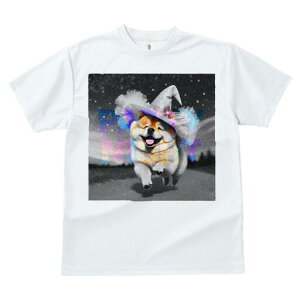 Č TVc fB[X t@  t  vg JWA 킢 lԗp h ̃fUC ʔ nEB Č Xq