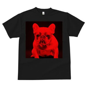 t`uhbO TVc fB[X t@  t  vg JWA 킢 lԗp h ̃fUC ʔ Kl t`uhbO