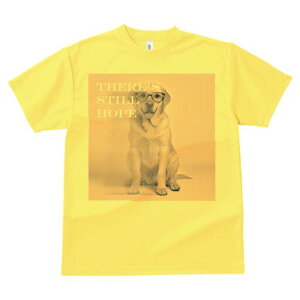 uh[go[ TVc fB[X t@  t  vg JWA 킢 lԗp h ̃fUC ʔ Kl uh[go[