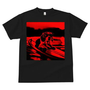 r[O TVc fB[X t@  t  vg JWA 킢 lԗp h ̃fUC ʔ TOX r[O T[t{[h C