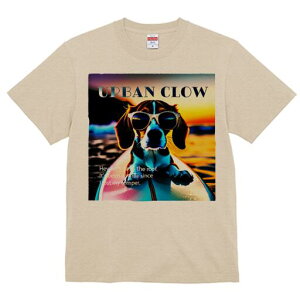 r[O TVc fB[X t@  t  vg JWA 킢 lԗp h ̃fUC ʔ TOX r[O T[tB C [Ă