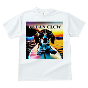 r[O TVc fB[X t@  t  vg JWA 킢 lԗp h ̃fUC ʔ TOX r[O T[tB C [Ă