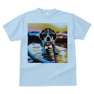 r[O TVc fB[X t@  t  vg JWA 킢 lԗp h ̃fUC ʔ TOX r[O T[t{[h C