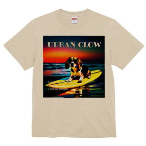 r[O TVc Y LbY t@  t  vg JWA 킢 lԗp h ̃fUC ʔ T[tB r[O C [Ă TOX