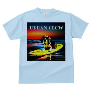 r[O TVc fB[X t@  t  vg JWA 킢 lԗp h ̃fUC ʔ T[tB r[O C [Ă TOX