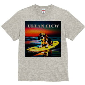 r[O TVc fB[X t@  t  vg JWA 킢 lԗp h ̃fUC ʔ T[tB r[O C [Ă TOX