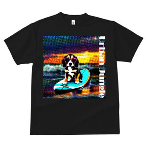 r[O TVc fB[X t@  t  vg JWA 킢 lԗp h ̃fUC ʔ TOX r[O T[t{[h