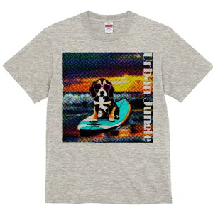 r[O TVc fB[X t@  t  vg JWA 킢 lԗp h ̃fUC ʔ TOX r[O T[t{[h