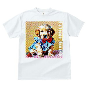 S[fgo[ TVc fB[X t@  t  vg JWA 킢 lԗp h ̃fUC ʔ lN^C S[fgo[ 