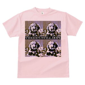 S[fgo[ TVc fB[X t@  t  vg JWA 킢 lԗp h ̃fUC ʔ  S[fgo[ ] 킢 |WeB