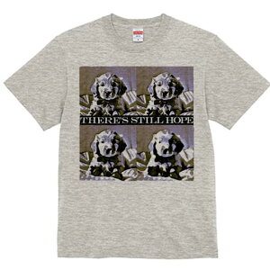 �S�[���f�����g���o�[ T�V���c ���f�B�[�X ���t�@�� ���� �t�� ���� �v�����g �J�W���A�� ���킢�� �l�ԗp ���h ���������̃f�U�C�� �ʔ� �� �S�[���f�����g���o�[ ��] ���킢�� �|�W�e�B