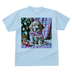 RbJ[XpjG TVc fB[X t@  t  vg JWA 킢 lԗp h ̃fUC ʔ C`S RbJ[XpjG lN^C