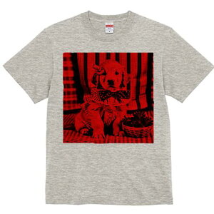 S[fgo[ TVc fB[X t@  t  vg JWA 킢 lԗp h ̃fUC ʔ { S[fgo[ lN^C  