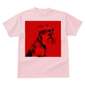 ~j`AViEU[ TVc Y LbY t@  t  vg JWA 킢 lԗp h ̃fUC ʔ Kl ~j`AViEU[ 