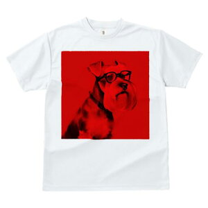 ~j`AViEU[ TVc Y LbY t@  t  vg JWA 킢 lԗp h ̃fUC ʔ Kl ~j`AViEU[ 