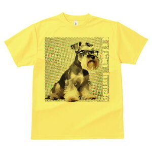 ~j`AViEU[ TVc fB[X t@  t  vg JWA 킢 lԗp h ̃fUC ʔ Kl ~j`AViEU[