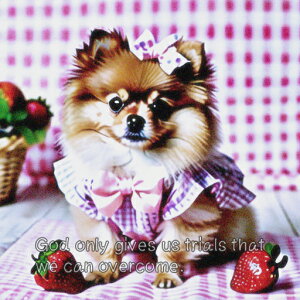 ���{�� �|�����j�A�� ������ �`�F�b�N�� �N�b�V�����J�o�[ 45×45cm �A�j�}���� ������� ���� �N�b�V�����{�̕t�� �����` ���t�@��