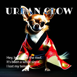  ` a  NbVJo[ 45×45cm Aj}   NbV{̕t ` t@