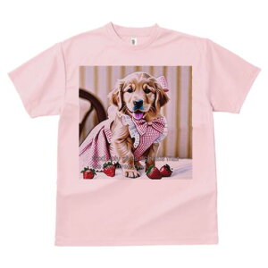 S[fgo[ TVc fB[X t@  t  vg JWA 킢 lԗp h ̃fUC ʔ C`S S[fgo[ { s[X