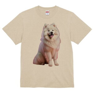 TGh TVc fB[X t@  t  vg JWA 킢 lԗp h ̃fUC ʔ ӂӂ TGh 킢 Ί 