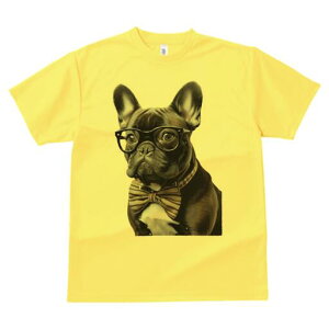 t`uhbO TVc fB[X t@  t  vg JWA 킢 lԗp h ̃fUC ʔ Kl t`uhbO lN^C