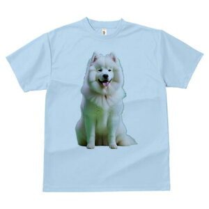 TGh TVc fB[X t@  t  vg JWA 킢 lԗp h ̃fUC ʔ ӂӂ TGh 킢 Ί 