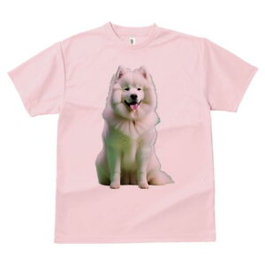 TGh TVc fB[X t@  t  vg JWA 킢 lԗp h ̃fUC ʔ ӂӂ TGh 킢 Ί 