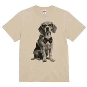 r[O TVc fB[X t@  t  vg JWA 킢 lԗp h ̃fUC ʔ lN^C r[O ዾ