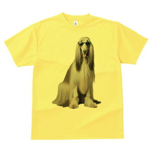 AtKnEh TVc fB[X t@  t  vg JWA 킢 lԗp h ̃fUC ʔ TOX AtKnEh