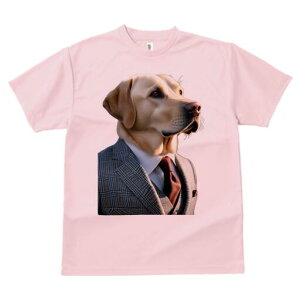 uh[go[ TVc fB[X t@  t  vg JWA 킢 lԗp h ̃fUC ʔ X[c uh[go[ lN^C |P