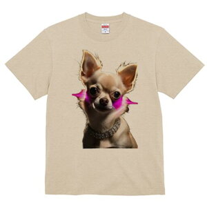 ` TVc fB[X t@  t  vg JWA 킢 lԗp h ̃fUC ʔ _ChlbNX ` [U[