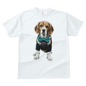 r[O TVc fB[X t@  t  vg JWA 킢 lԗp h ̃fUC ʔ lN^C r[O X[c