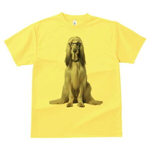 AtKnEh TVc fB[X t@  t  vg JWA 킢 lԗp h ̃fUC ʔ Kl AtKnEh