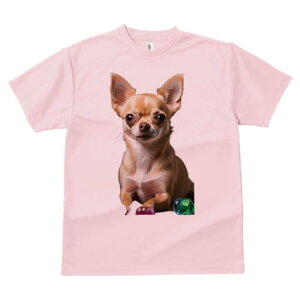 ` TVc fB[X t@  t  vg JWA 킢 lԗp h ̃fUC ʔ  `