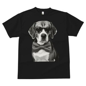 r[O TVc fB[X t@  t  vg JWA 킢 lԗp h ̃fUC ʔ lN^C r[O ዾ