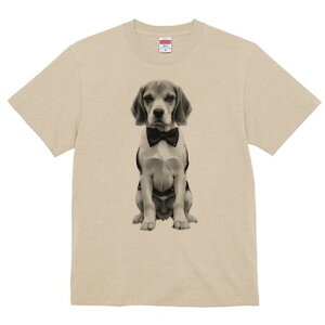 r[O TVc fB[X t@  t  vg JWA 킢 lԗp h ̃fUC ʔ lN^C r[O