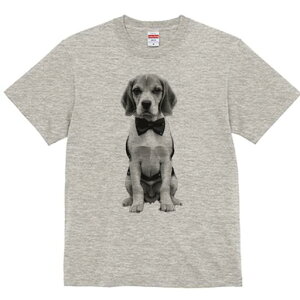 r[O TVc fB[X t@  t  vg JWA 킢 lԗp h ̃fUC ʔ lN^C r[O