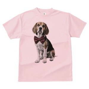 r[O TVc fB[X t@  t  vg JWA 킢 lԗp h ̃fUC ʔ lN^C r[O