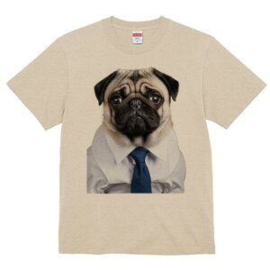 pO TVc fB[X t@  t  vg JWA 킢 lԗp h ̃fUC ʔ CVc pO lN^C