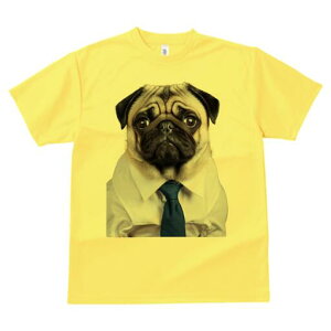 pO TVc fB[X t@  t  vg JWA 킢 lԗp h ̃fUC ʔ CVc pO lN^C