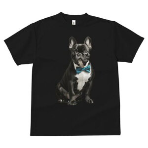 t`uhbO TVc fB[X t@  t  vg JWA 킢 lԗp h ̃fUC ʔ lN^C t`uhbO